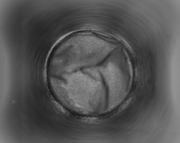 X0000086760784200705111714