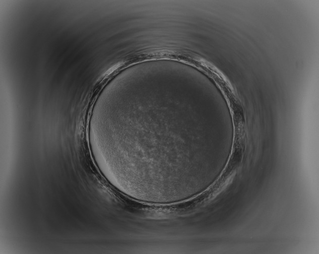 X0000086760785200705111714