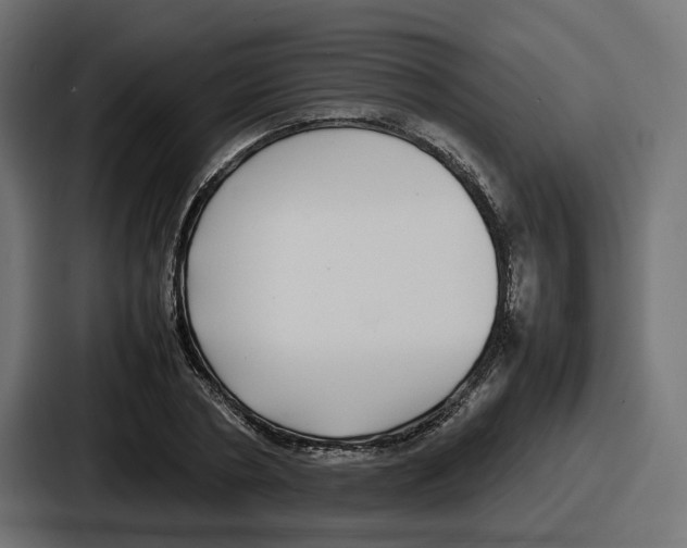 X0000086760786200705111714