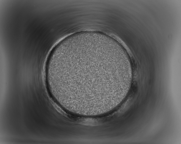 X0000086760787200705111714