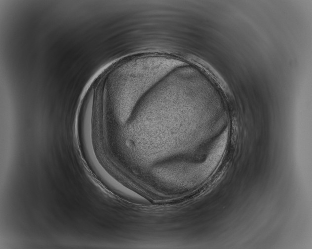 X0000086760788200705111714