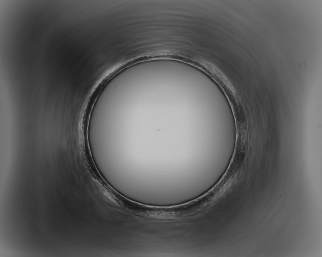 X0000086760789200705111714