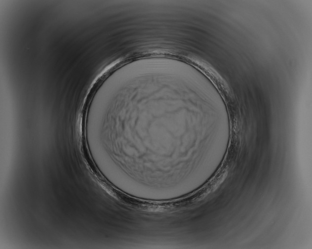 X0000086760790200705111714