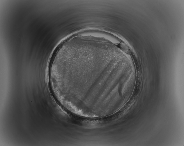 X0000086760791200705111714