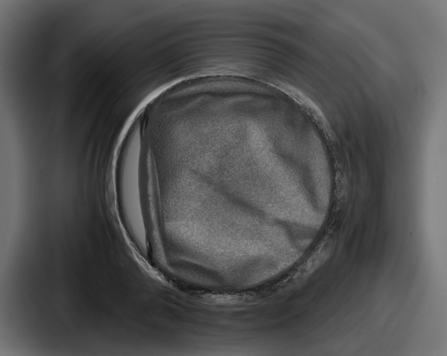 X0000086760792200705111714