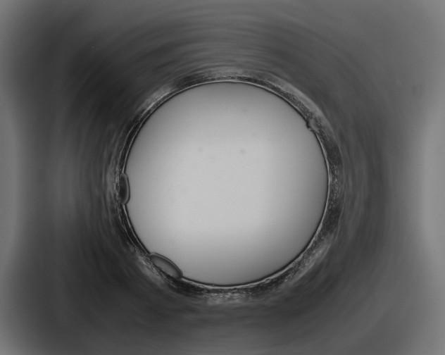 X0000086760793200705111714