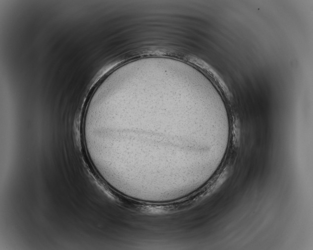 X0000086760794200705111714