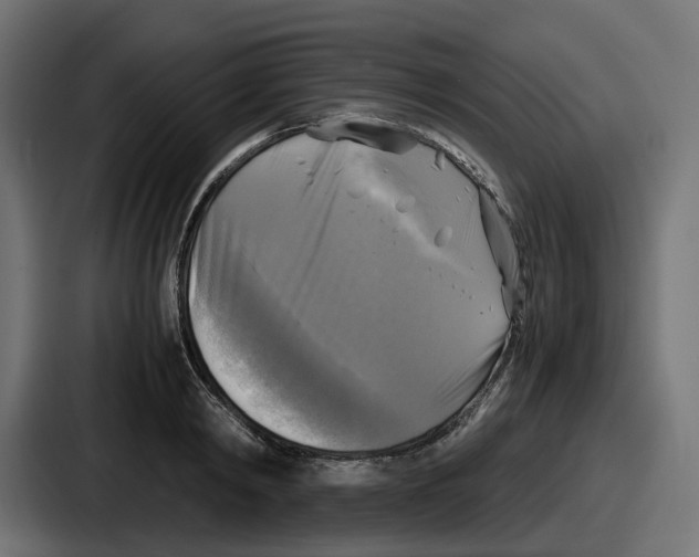 X0000086760798200705111714