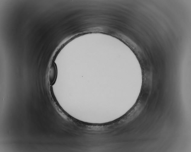 X0000086760800200705111714