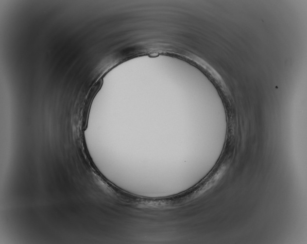 X0000086760801200705111714