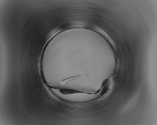 X0000086760802200705111714