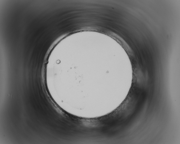 X0000086760804200705111714