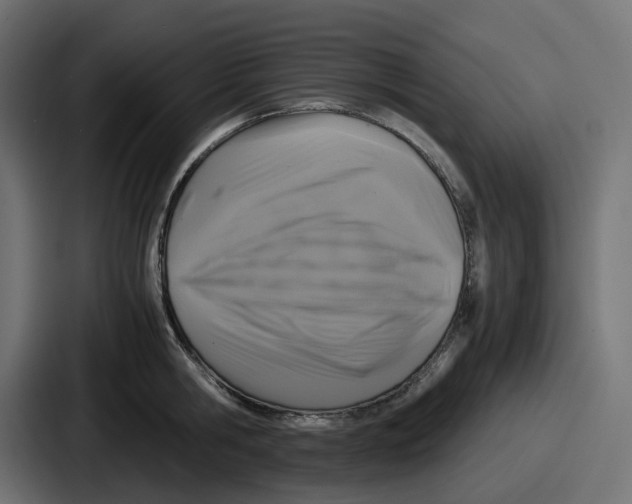 X0000086760806200705111714