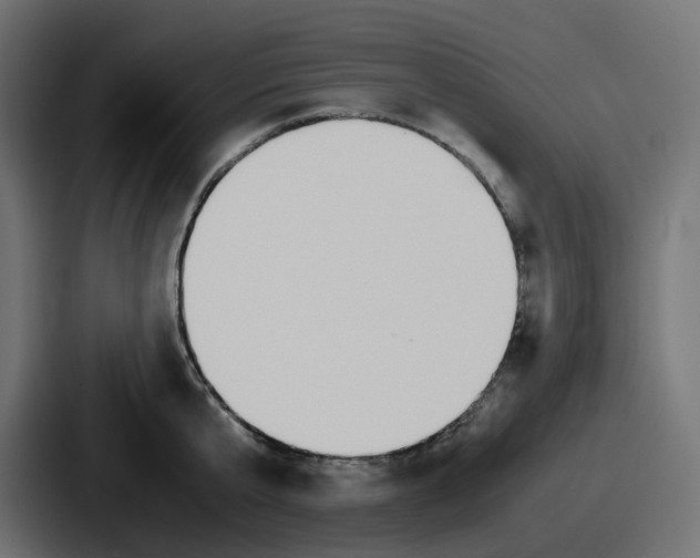 X0000086760807200705111714