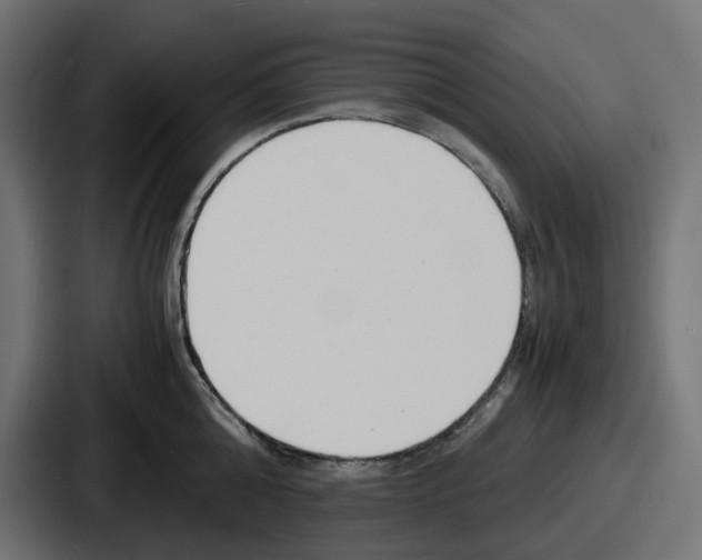 X0000086760808200705111714