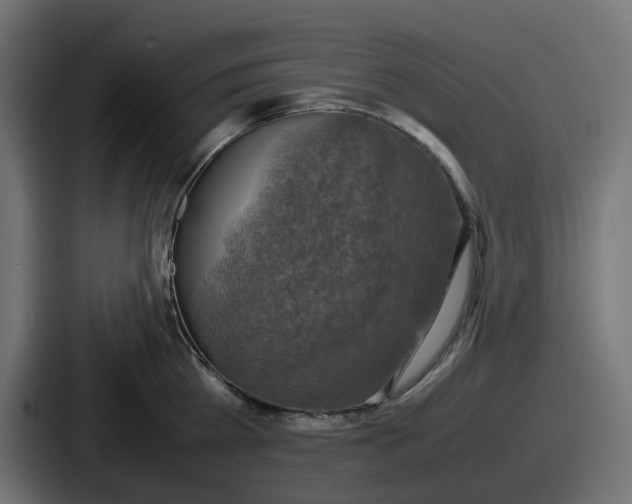 X0000086760809200705111714