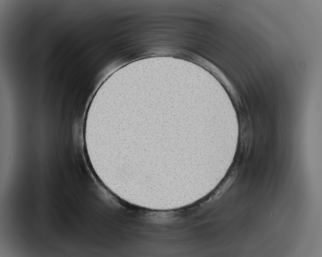 X0000086760810200705111714