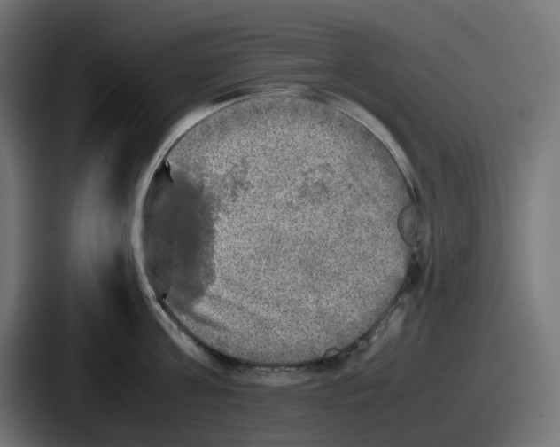 X0000086760811200705111714