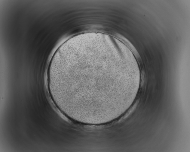 X0000086760812200705111714