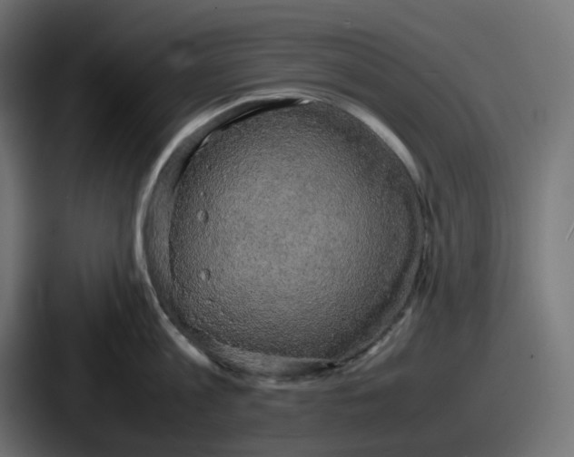 X0000086760813200705111714