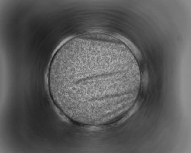 X0000086760814200705111714