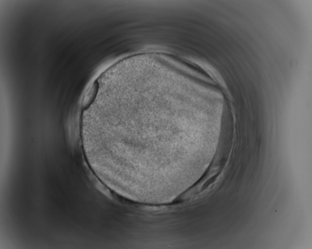 X0000086760816200705111714