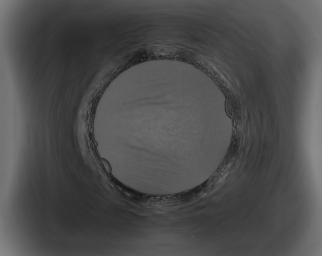 X0000086760817200705111713