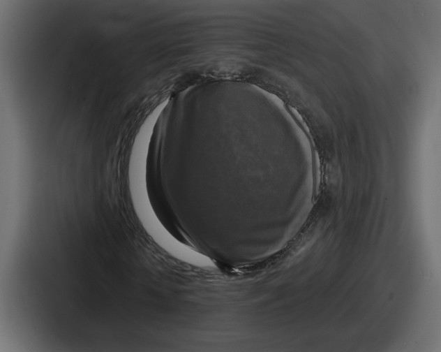 X0000086760818200705111713