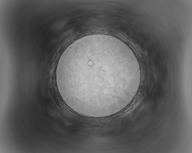 X0000086760820200705111713