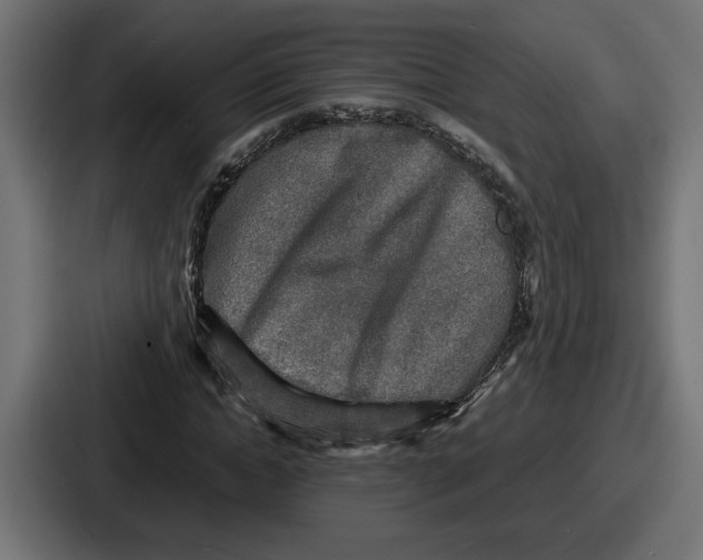 X0000086760822200705111713