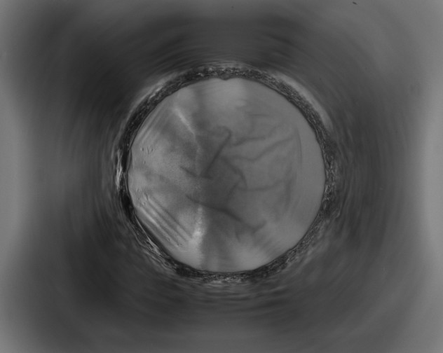 X0000086760823200705111713