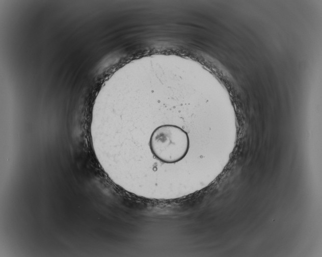 X0000086760824200705111713