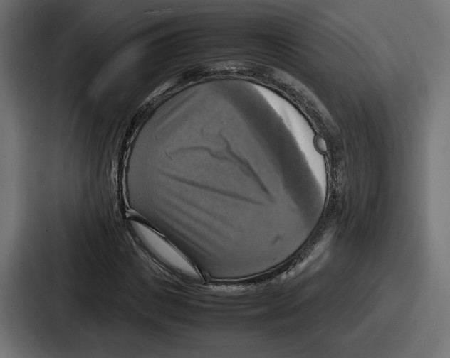 X0000086760825200705111713