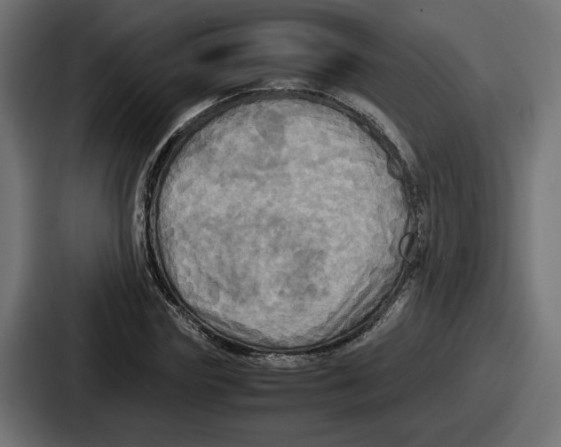 X0000086760827200705111713