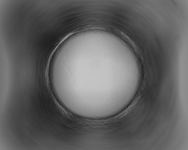 X0000086760828200705111713