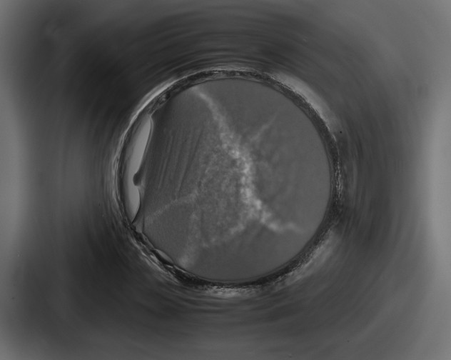 X0000086760829200705111713