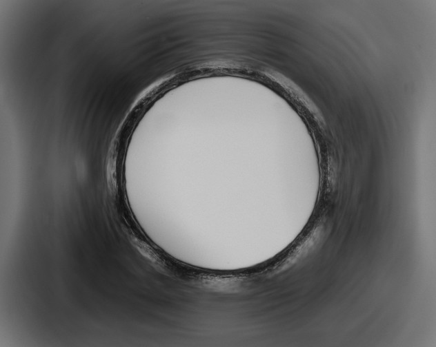 X0000086760830200705111713