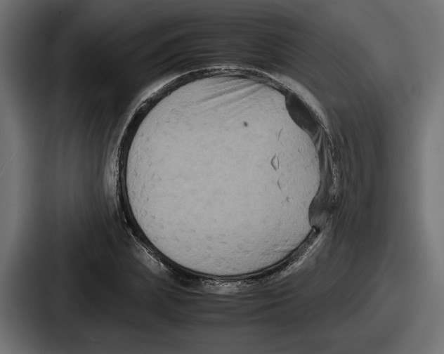 X0000086760831200705111713