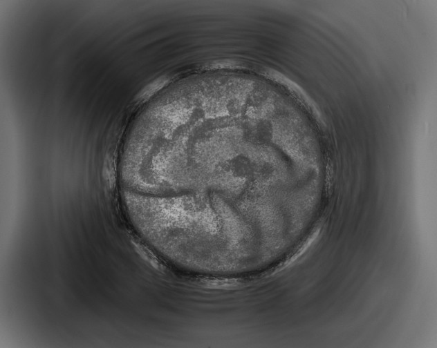 X0000086760833200705111713