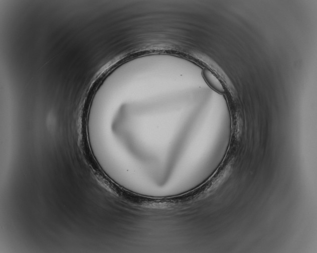 X0000086760834200705111713