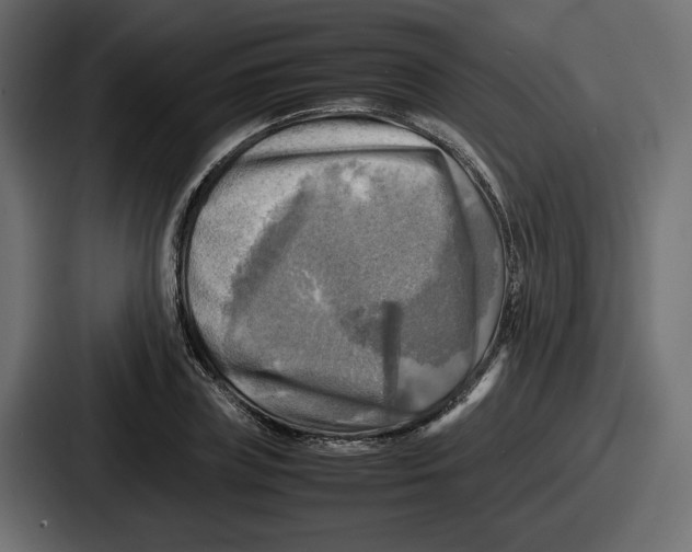 X0000086760835200705111713