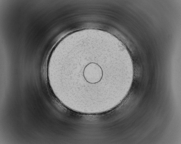 X0000086760836200705111713