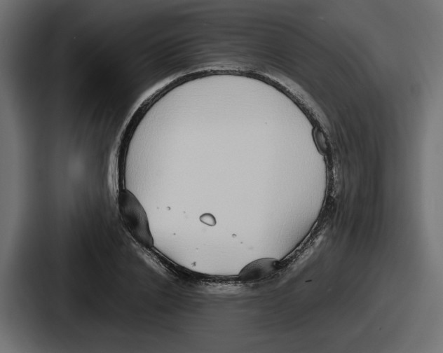 X0000086760838200705111713