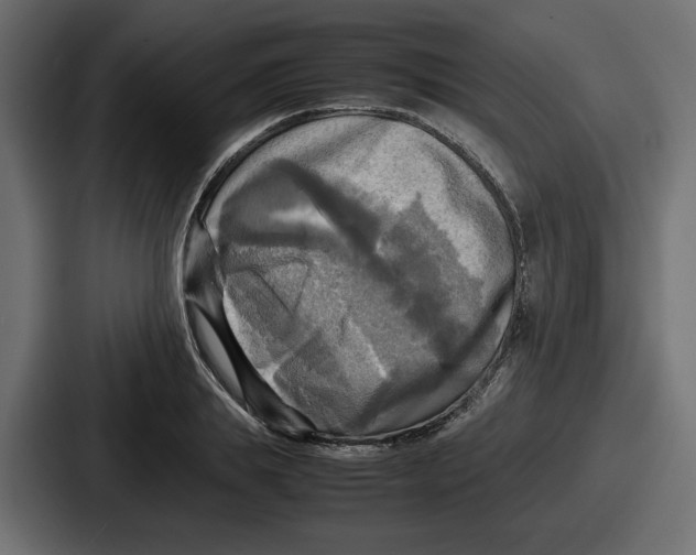 X0000086760839200705111713