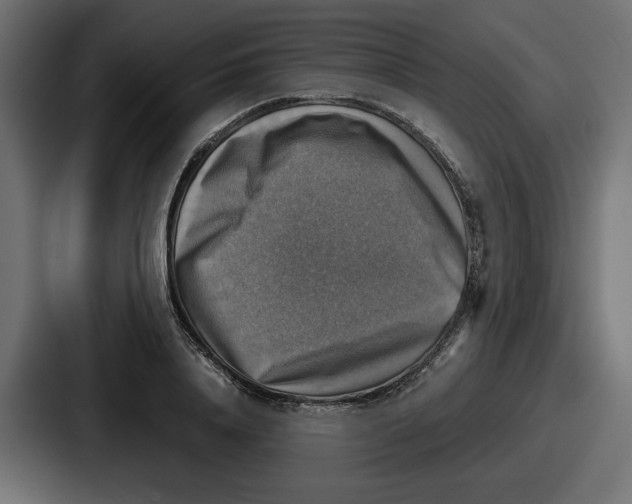 X0000086760840200705111713