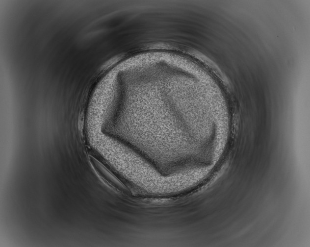 X0000086760841200705111713