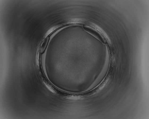 X0000086760842200705111713