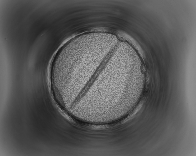 X0000086760843200705111713