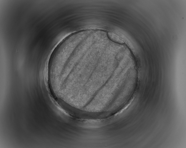 X0000086760844200705111713