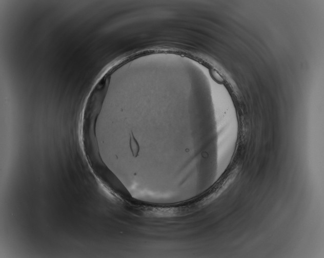 X0000086760845200705111713